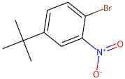 1-Bromo-4-tert-butyl-2-nitrobenzene
