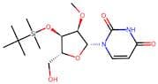 3'-O-(t-Butyldimethylsilyl)-2'-O-methyluridine