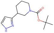 tert-Butyl 3-(1H-pyrazol-3-yl)piperidine-1-carboxylate