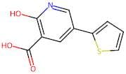 2-Hydroxy-5-(thiophen-2-yl)nicotinic acid