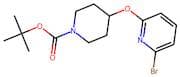 tert-Butyl 4-((6-bromopyridin-2-yl)oxy)piperidine-1-carboxylate
