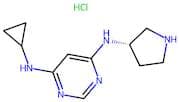 (S)-N4-Cyclopropyl-N6-(pyrrolidin-3-yl)pyrimidine-4,6-diamine hydrochloride