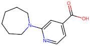 2-(Azepan-1-yl)isonicotinic acid