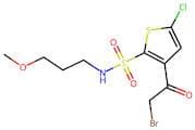 3-(2-Bromoacetyl)-5-chloro-N-(3-methoxypropyl)thiophene-2-sulfonamide