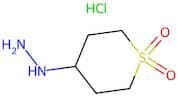 4-Hydrazinyltetrahydro-2H-thiopyran 1,1-dioxide hydrochloride