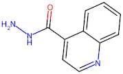 Quinoline-4-carbohydrazide