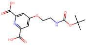 4-(2-((tert-Butoxycarbonyl)amino)ethoxy)pyridine-2,6-dicarboxylic acid