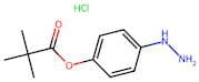 4-Hydrazinylphenyl pivalate hydrochloride