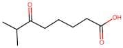 7-Methyl-6-oxooctanoic acid