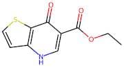 Ethyl 7-oxo-4,7-dihydrothieno[3,2-b]pyridine-6-carboxylate