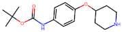 tert-Butyl (4-(piperidin-4-yloxy)phenyl)carbamate