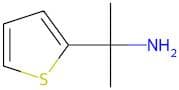 2-(Thiophen-2-yl)propan-2-amine
