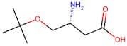 (R)-3-Amino-4-(tert-butoxy)butanoic acid