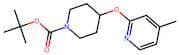 tert-Butyl 4-((4-methylpyridin-2-yl)oxy)piperidine-1-carboxylate