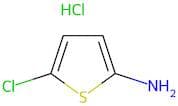 5-Chlorothiophen-2-amine hydrochloride