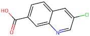 3-Chloroquinoline-7-carboxylic acid