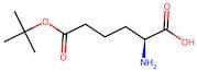 (S)-2-Amino-6-(tert-butoxy)-6-oxohexanoic acid