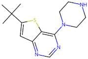 6-(tert-Butyl)-4-(piperazin-1-yl)thieno[3,2-d]pyrimidine
