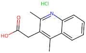 2-(2,4-Dimethylquinolin-3-yl)acetic acid hydrochloride