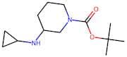 tert-Butyl 3-(cyclopropylamino)piperidine-1-carboxylate