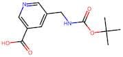 5-(((tert-Butoxycarbonyl)amino)methyl)nicotinic acid