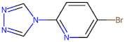 5-Bromo-2-(4H-1,2,4-triazol-4-yl)pyridine