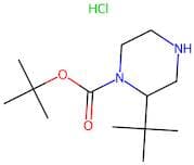 1-Boc-2-tert-Butylpiperazine hydrochloride