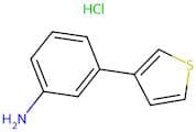 3-(Thiophen-3-yl)aniline hydrochloride