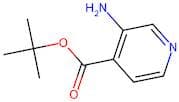 tert-Butyl 3-aminoisonicotinate