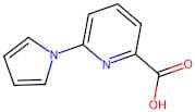 6-(1H-Pyrrol-1-yl)pyridine-2-carboxylic acid