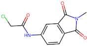 2-Chloro-N-(2-methyl-1,3-dioxo-2,3-dihydro-1H-isoindol-5-yl)acetamide