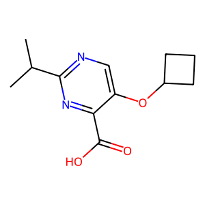 5-Cyclobutoxy-2-isopropylpyrimidine-4-carboxylic acid
