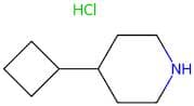 4-Cyclobutylpiperidine hydrochloride