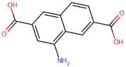 4-Aminonaphthalene-2,6-dicarboxylic acid