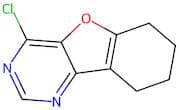 4-Chloro-6,7,8,9-tetrahydrobenzofuro[3,2-d]pyrimidine