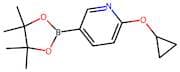 2-Cyclopropoxy-5-(4,4,5,5-tetramethyl-1,3,2-dioxaborolan-2-yl)pyridine