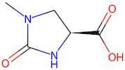 (S)-1-methyl-2-oxoimidazolidine-4-carboxylic acid