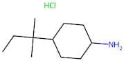 4-(2-Methylbutan-2-yl)cyclohexan-1-amine hydrochloride