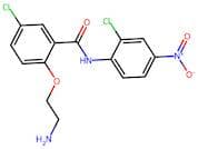 2-(2-Aminoethoxy)-5-chloro-N-(2-chloro-4-nitrophenyl)benzamide