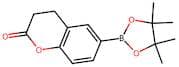 6-(4,4,5,5-Tetramethyl-1,3,2-dioxaborolan-2-yl)chroman-2-one