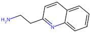 2-(Quinolin-2-yl)ethanamine