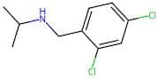 N-(2,4-Dichlorobenzyl)propan-2-amine