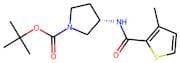 (S)-tert-Butyl 3-(3-methylthiophene-2-carboxamido)pyrrolidine-1-carboxylate