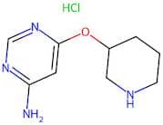 6-(Piperidin-3-yloxy)pyrimidin-4-amine hydrochloride