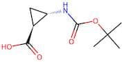(1S,2S)-2-((tert-Butoxycarbonyl)amino)cyclopropanecarboxylic acid