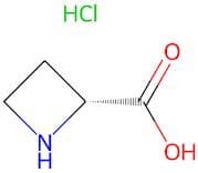 (R)-Azetidine-2-carboxylic acid hydrochloride