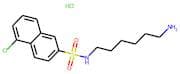 N-(6-Aminohexyl)-5-chloro-2-naphthalenesulphonamide hydrochloride