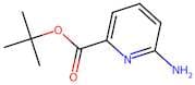 tert-Butyl 6-aminopicolinate