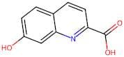 7-Hydroxyquinoline-2-carboxylic acid