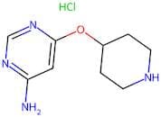 6-(Piperidin-4-yloxy)pyrimidin-4-amine hydrochloride